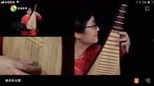 成人琵琶琴教学视频
