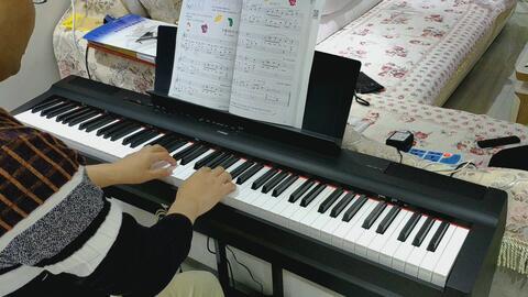 钢琴成人自学热门视频,热门视频攻略解析
