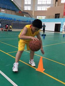 成人实战篮球技术训练视频,实战篮球技术训练视频精华解析