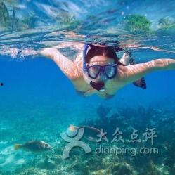 成人游泳音乐视频下载,揭秘成人游泳音乐视频下载攻略