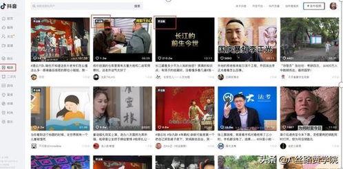 成人无码小说网站视频,视频内容深度解析