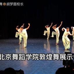 成人舞敦煌舞蹈视频大全,成人舞者演绎经典舞姿风采集锦