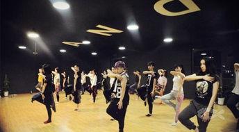 成人入门班街舞教学视频,轻松掌握街舞基础技巧