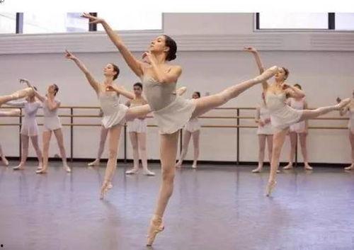 怡园成人舞蹈视频大全,舞动人生,尽享欢乐时光