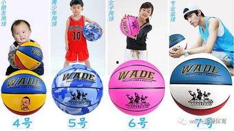 粘贴篮筐成人教程视频大全