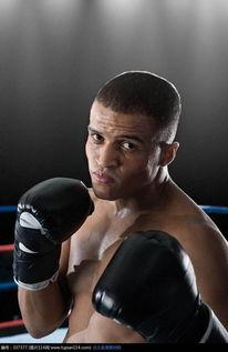 成人拳击课程视频大全,成人拳击课程视频大全精华汇总