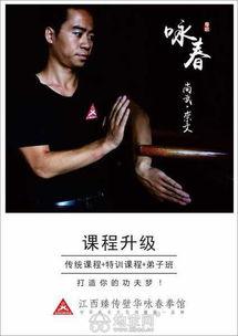 成人武术南拳视频