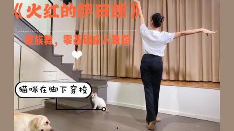 8人舞蹈成人简单视频,轻松入门，舞动身心