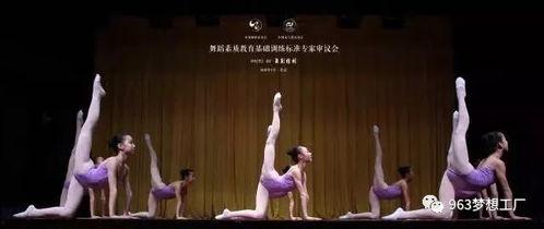 杨林成人舞蹈视频,轻松入门，舞动人生新篇章