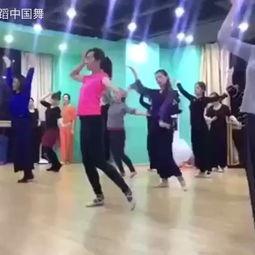 杨林成人舞蹈视频,轻松入门,舞动人生新篇章